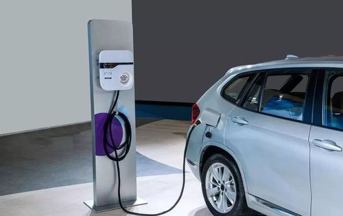 山丹多少家新能源汽车 山丹多少家新能源汽车