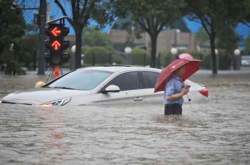 郑州暴雨多少辆汽车