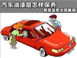 汽车一天保养多少次最好(汽车一天保养多少次最好，探究合理汽车保养频率)