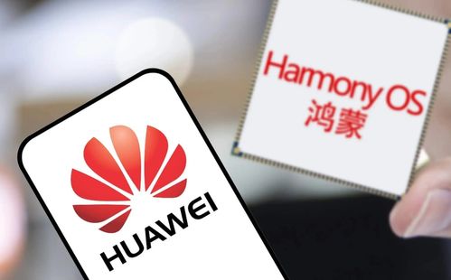 华为电脑怎么排灰尘的啊(华为电脑排尘指南,轻松解决灰尘问题,让你的电脑焕然一新) 华为电脑怎么排灰尘的啊(华为电脑排尘指南,轻松解决灰尘问题,让你的电脑焕然一新)