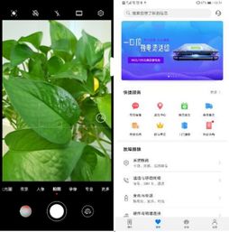 华为电脑的抖音怎么直播(华为电脑抖音直播操作指南) 华为电脑的抖音怎么直播(华为电脑抖音直播操作指南)