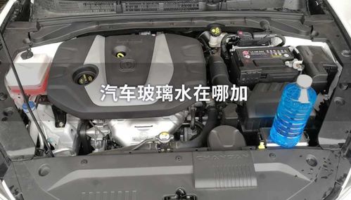昕锐汽车玻璃水加多少(昕锐汽车玻璃水添加指南)