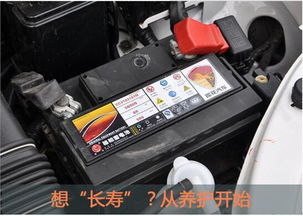 小汽车Q85电瓶多少钱(小汽车Q85电瓶价格解析,市场、规格与成本考量) 小汽车Q85电瓶多少钱(小汽车Q85电瓶价格解析,市场、规格与成本考量)