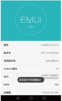 华为怎么把语音导入电脑(华为如何将语音导入电脑，技术与应用的深度解析)