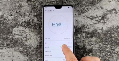 华为手机怎么设置NIP