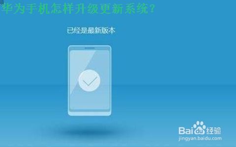 华为手机怎么更新钱包 华为手机怎么更新钱包