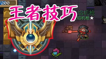 游戏十三攻略 VS 盔甲进化游戏攻略