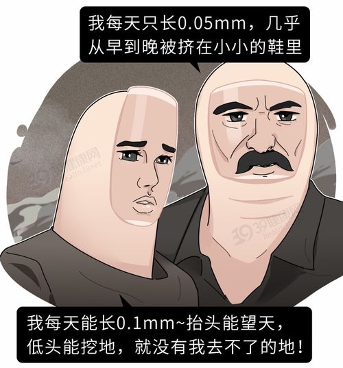 欧美游戏徐娘游戏攻略 VS 游戏益智攻略游戏大全 欧美游戏徐娘游戏攻略 VS 游戏益智攻略游戏大全