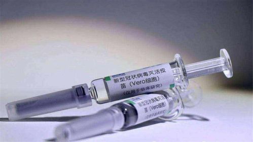 中国空调成欧洲“救命稻草”