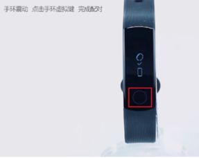 华为手机与华为手环怎么连接