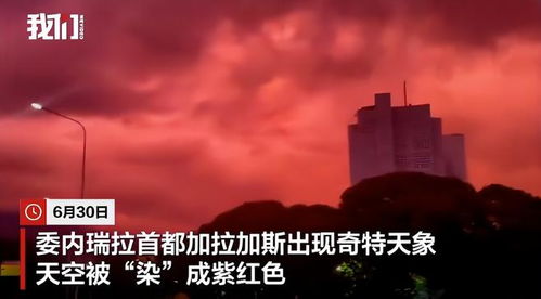 长时间刷短视频会变“笨”？是的