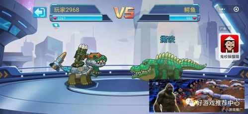 乌龟公园游戏攻略 VS 青春游戏攻略